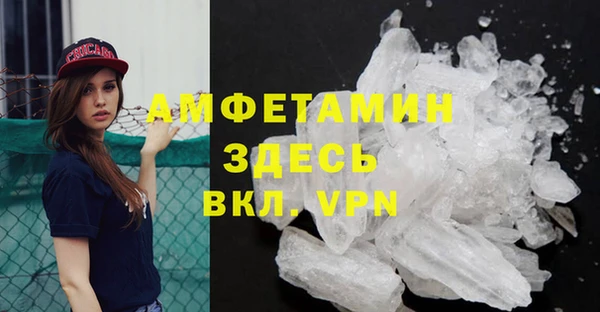 прущие грибы Валдай