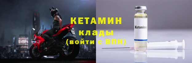 прущие грибы Валдай