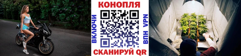 Конопля ГИДРОПОН  hydra зеркало  Новоульяновск 